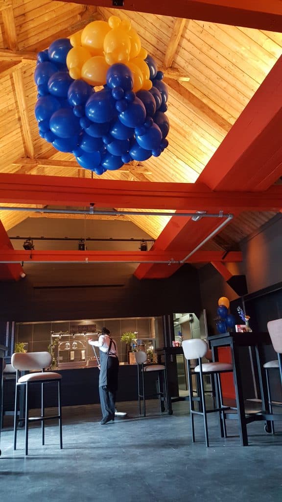 zaaloverzicht Fort Voordorp Utrecht 10 jarig bestaan logo kubus MNP Solutions 576x1024 - Bedrijfslogo met ballonnen voor elk feest of event creatief op maat!